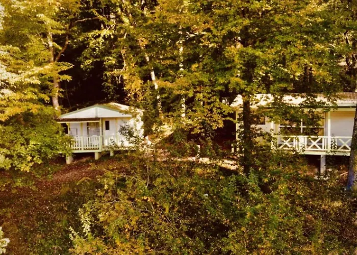 キャンプ場 Chalet Avec Terrasse - 2 Pers. - Api-1-52-1592